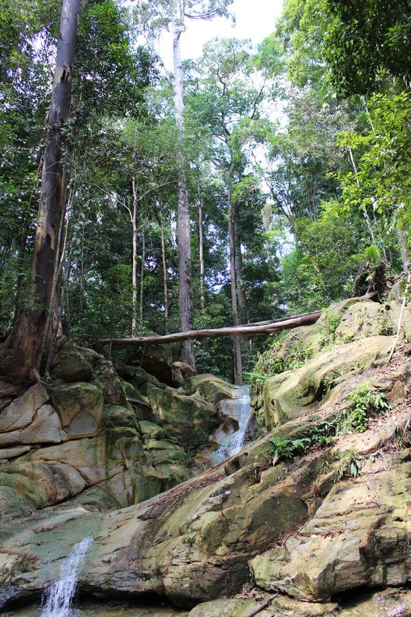 Nanga Damai Homestay Santubong Kültér fotó